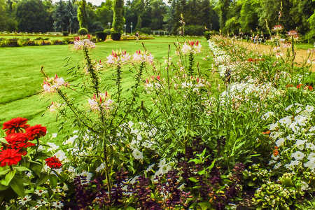 Park