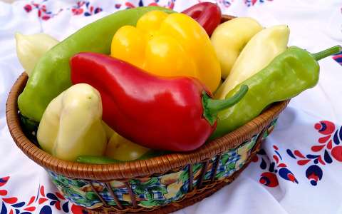 címlapfotó paprika zöldség