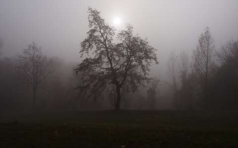 Dunaújvárosi dunapart ködben