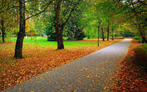 címlapfotó kertek és parkok út ősz