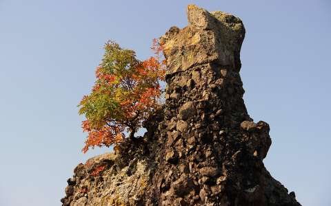 címlapfotó fa kövek és sziklák ősz