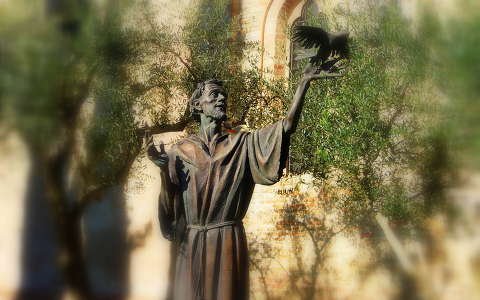 Szent Ferenc szobra Trevisoban