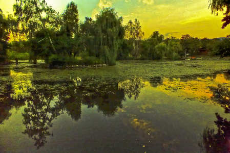Naplemente