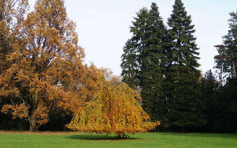 Szarvasi Arborétum - 2014. ősz