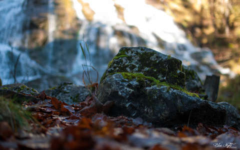 kövek és sziklák moha ősz