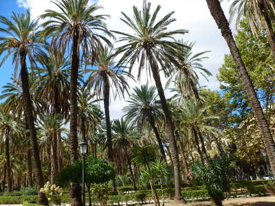 Park Palermoban, Szicília