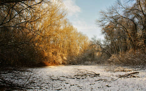 Holt-marosi tél