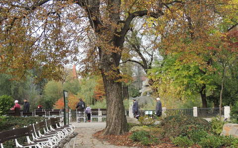 Budapesti Állatkert ősszel