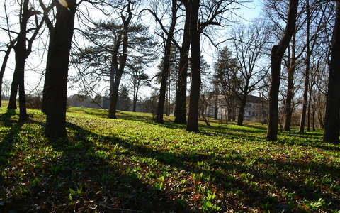 kertek és parkok