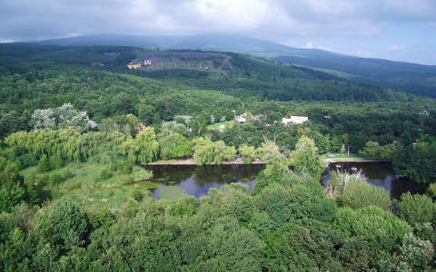 tavasz