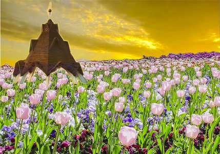 Tulipános
