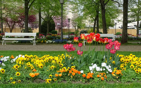 kertek és parkok pad tavasz tavaszi virág