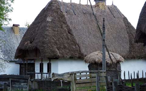 ház