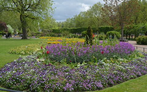 Rose Garden,London