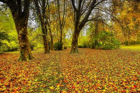 Park