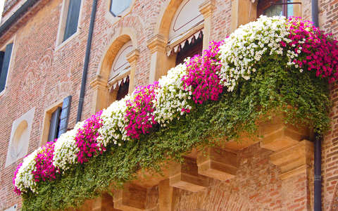 Padovai balkon
