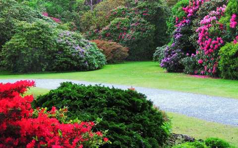 Ireland, Killarney NP