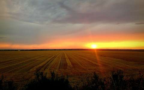 címlapfotó gabonaföld naplemente nyár