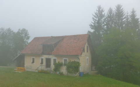 Köd