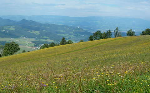 Ausztria