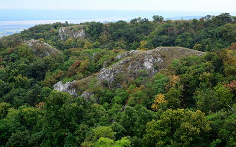 erdő hegy kövek és sziklák ősz