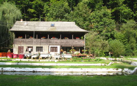 Miskolc-Lillafüred, pisztrángtelep