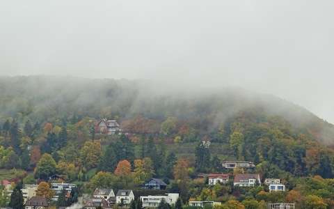 köd ősz