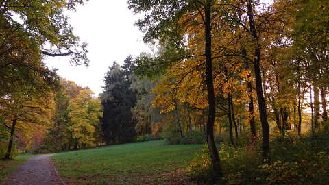 ősz