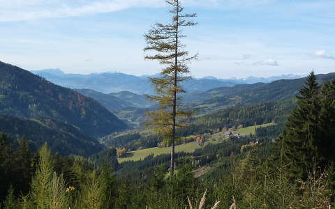 Ausztria