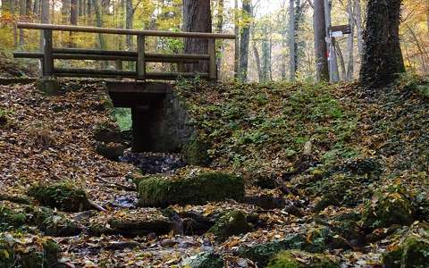erdő híd ősz