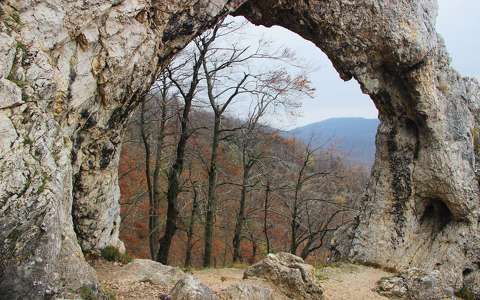 erdő kövek és sziklák magyarország ősz