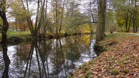 Őszi csendélet