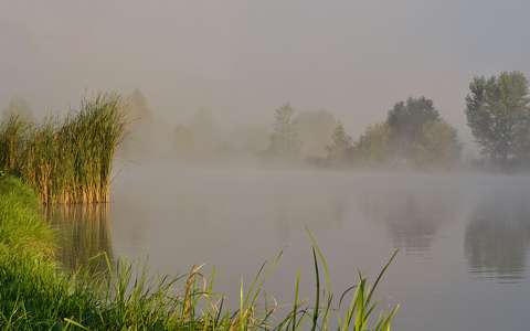 címlapfotó köd nád tó