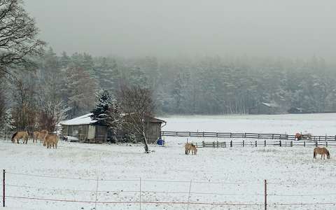 kerítés lovak tél