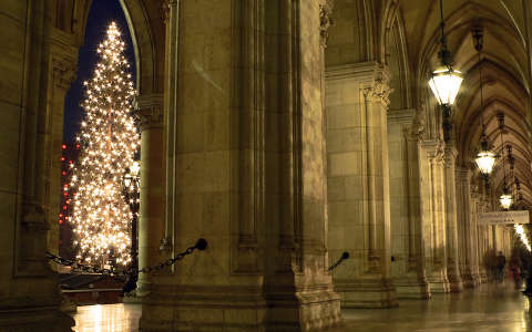 belső tér karácsony karácsonyfa lámpa