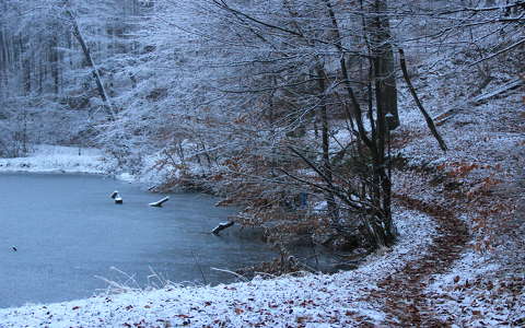 címlapfotó tél tó út