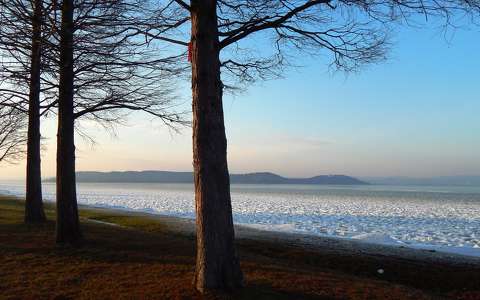 balaton fa magyarország tél