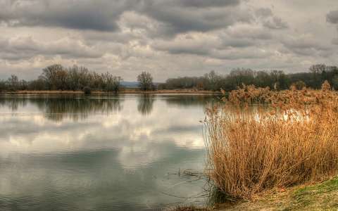 2016.03.06. Fotó: Szolnoki Tibor