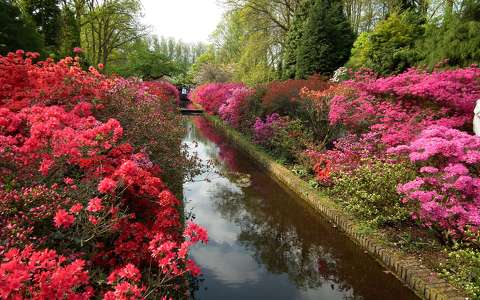 Keukenhof virágoskert, Hollandia