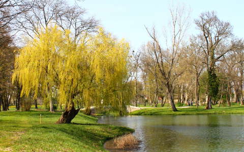 Fehérvárcsurgó, Károlyi-kastély parkja