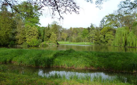 Vácrátóti arborétum