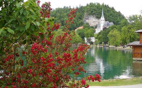 Szlovénia, Bled