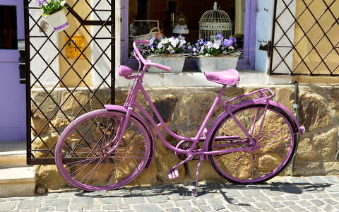 címlapfotó kerékpározás tavasz virágcsokor és dekoráció