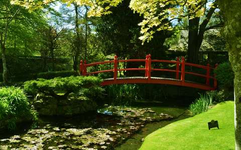 Irish National Stud and Japanese Gardens