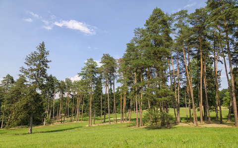 Füzérradványi kastély parkja