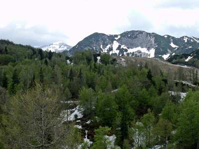 Szlovénia, Vogel hegy