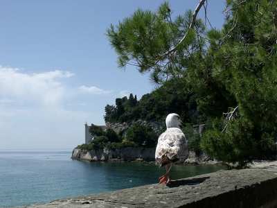 Olaszország, Trieszti öböl