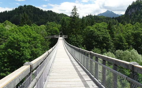 erdő híd