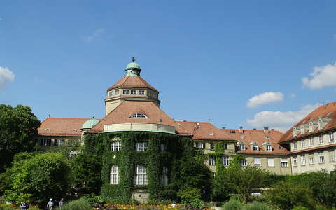ház