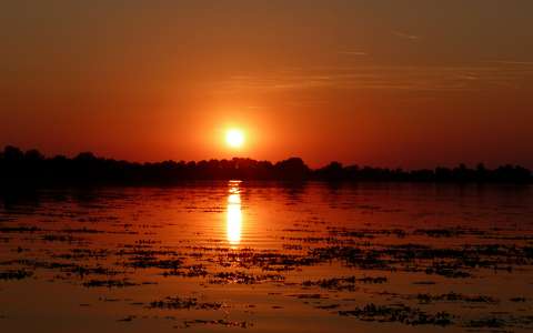 Naplemente a Tisza-tavon